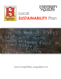 Local Plan SUSTAINABILITY !
