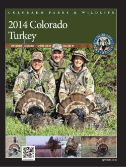 2014 Colorado Turkey v