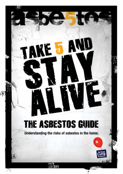 THE ASBESTOS GUIDE Understanding the risks of asbestos in the home.
