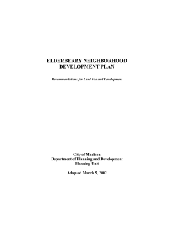 ELDERBERRY NEIGHBORHOOD DEVELOPMENT PLAN City of Madison Department of Planning and Development