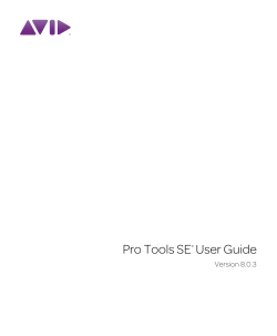 Pro Tools SE  User Guide Version 8.0.3 ®