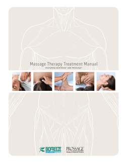 Massage Therapy Treatment Manual featuring Biofreeze and Prossage Treatment Protocol: 10