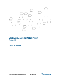 BlackBerry Mobile Data System Version 4.1 Technical Overview