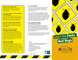Use of Pesticides Are bed bugs dangerous?
