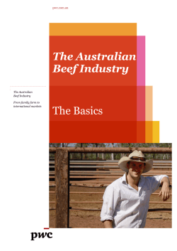 The Australian Beef Industry The Basics
