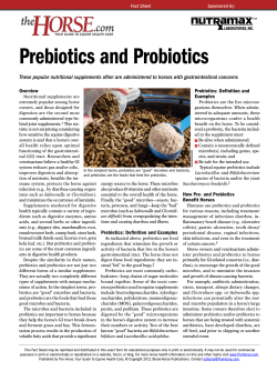 Overview Probiotics: Definition and Examples