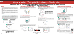 Characterization of Biotinylated Antibodies and Other Proteins