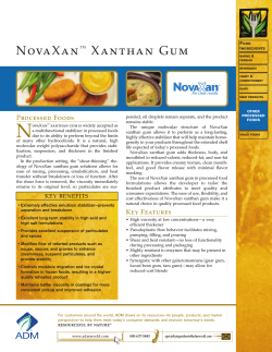 N NovaXan Xanthan Gum Processed Foods