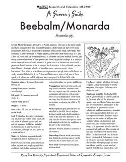 Beebalm/Monarda A Grower’s Guide Monarda spp. Research and Extension: MF-2605