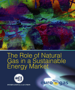The Role of Natural Gas in a Sustainable Energy Market 4