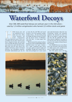 Waterfowl Decoys Duff on Ducks and Decoys – Part 2