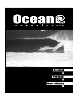 Ocean Steve Clark Whale Rider Waves of Warning