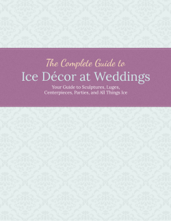 Ice Décor at Weddings The Complete Guide to