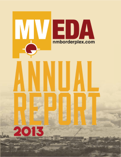 REPORT AnnUAL 2013