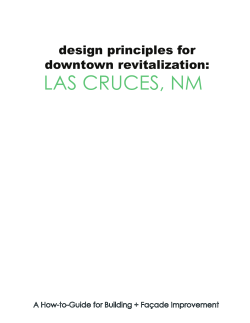 LAS CRUCES, NM design principles for downtown revitalization: