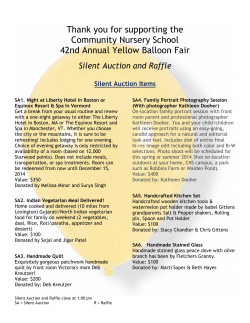 42nd Annual Yellow Balloon Fair Silent Auction and Raffle Silent Auction Items