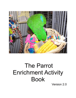 The Parrot Enrichment Activity Book Version 2.0