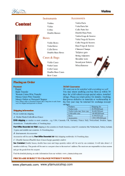Violins Accessoreis Instruments