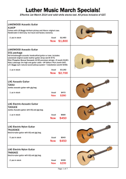 Luther Music March Specials! LAKEWOOD Acoustic Guitar A14CP