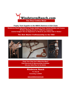 WindstormRanch.com  Trophy Tack Supplier to the NBHA Districts &amp; CGA Clubs