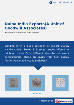 Naina India Exports(A Unit of Goodwill Associates)