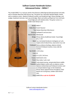 Sullivan Custom Handmade Guitars Zebrawood Guitar – SMSA-T