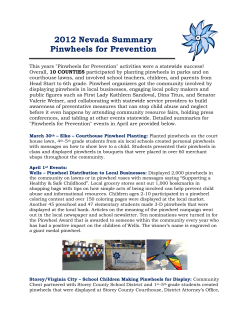 2012 Nevada Summary Pinwheels for Prevention