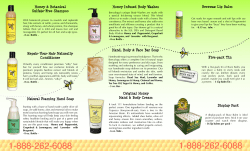 Beeswax Lip Balm Honey &amp; Botanical Honey Infused Body Washes Sulfate-Free Shampoo
