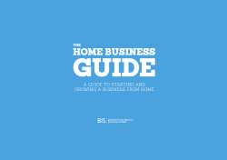 GUIDE HOME BUSINESS BIS A GUIDE TO STARTING AND