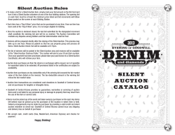 Silent Auction Rules