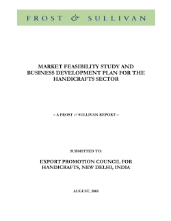 MARKET FEASIBILITY STUDY AND BUSINESS DEVELOPMENT PLAN FOR THE HANDICRAFTS SECTOR