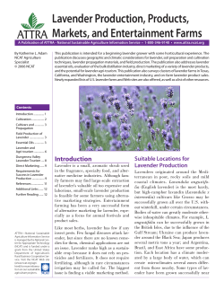 Lavender Production, Products, Markets, and Entertainment Farms ATTRA