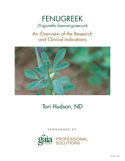 FENUGREEK Tori Hudson, ND An Overview of the Research and Clinical Indications