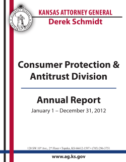 Consumer Protection &amp; Antitrust Division Annual Report Derek Schmidt