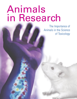 Animals in Research The Importance of Animals in the Science