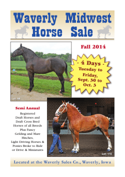 Waverly Midwest Horse Sale - 4 Days - Fall 2014