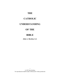 THE  CATHOLIC UNDERSTANDING