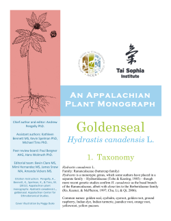 Goldenseal An Appalachian Plant Monograph Hydrastis canadensis