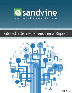 Global Internet Phenomena Report 2H 2013