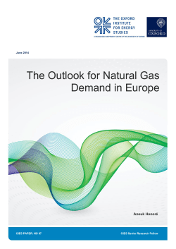 The Outlook for Natural Gas Demand in Europe Anouk Honoré