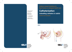 Catheterisation  Indwelling catheters in adults Evidence-based Guidelines for