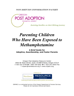 Parenting Children Who Have Been Exposed to Methamphetamine