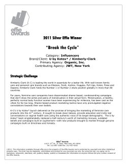 “Break the Cycle” 2011 Silver Effie Winner  Strategic Challenge