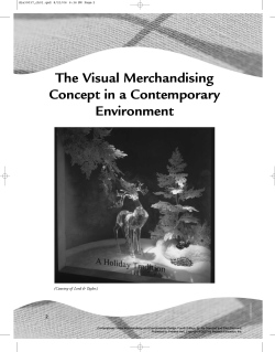 The Visual Merchandising Concept in a Contemporary Environment 2