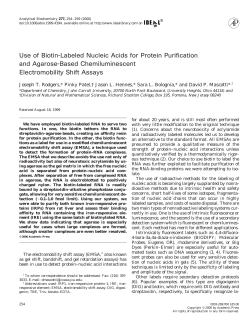 Use of Biotin-Labeled Nucleic Acids for Protein Purification and Agarose-Based Chemiluminescent