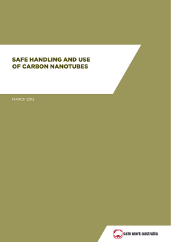 SAFE HANDLING AND USE OF CARBON NANOTUBES MARCH 2012