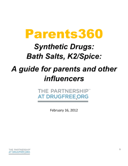 Parents360 Synthetic Drugs: Bath Salts, K2/Spice: A guide for parents and other