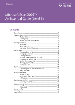 Microsoft Excel 2007™ An Essential Guide (Level 1) Contents