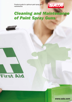 Cleaning and Maintenance of Paint Spray Guns maintenance