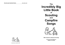 Incredibly Big Little Book Scouting Campfire